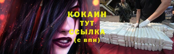 прущий лед Алзамай