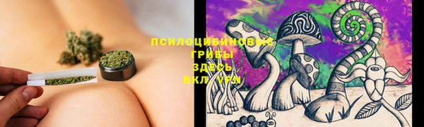 гидропоника Алексеевка